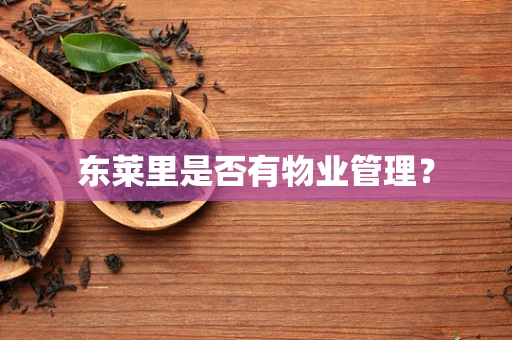 东莱里是否有物业管理？