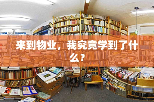 来到物业，我究竟学到了什么？