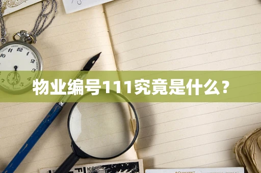 物业编号111究竟是什么？