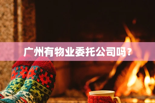 广州有物业委托公司吗？
