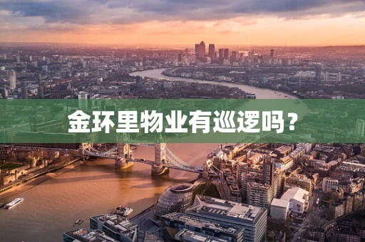 金环里物业有巡逻吗？