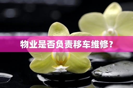 物业是否负责移车维修？