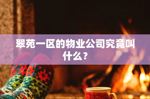 翠苑一区的物业公司究竟叫什么？
