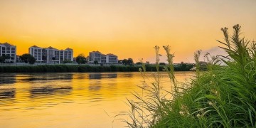 滨江物业工资真的高吗？