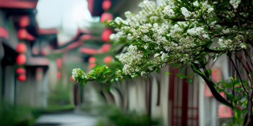 桂花苑小区物业管事吗？