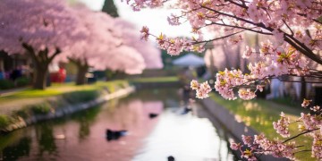 3月8日物业可以搞什么活动？