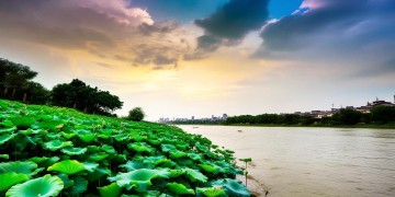 湘江锦绣物业收费吗？收费标准是多少？
