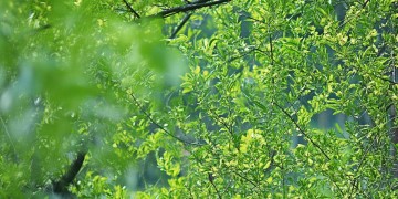 蚌埠龙湖春天究竟是什么物业？
