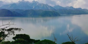国泰新村物业可靠吗？