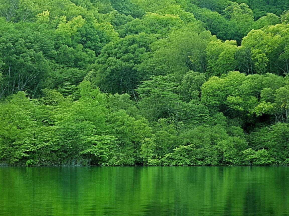 山东鲁能物业究竟是干什么的？